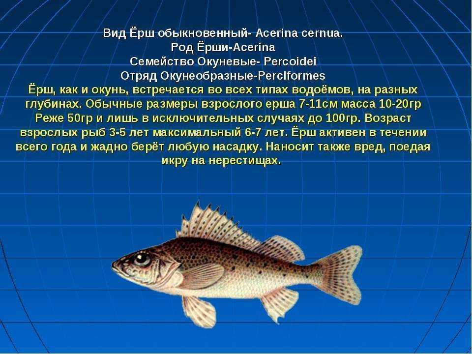 Правила рыбалки в удмуртской республике в 2022 г.