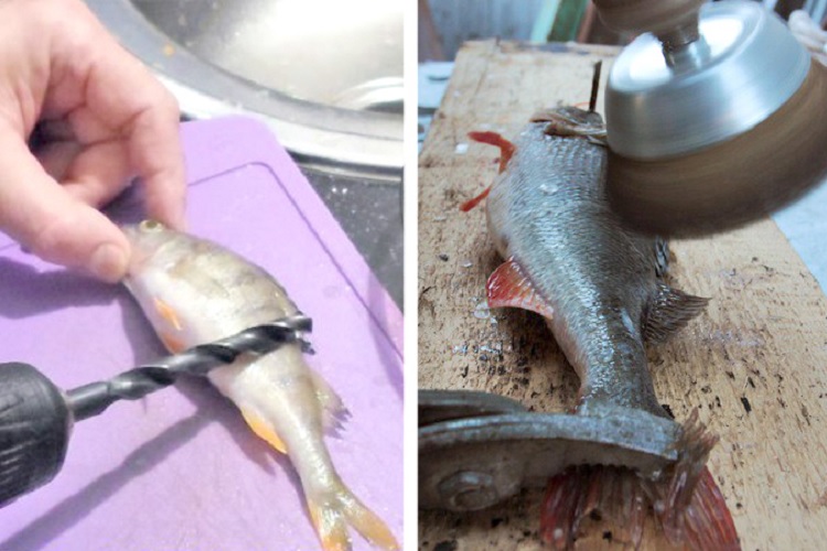 Как почистить окуня: способы быстро убрать чешую в домашних условиях, обработка замороженной морской рыбы