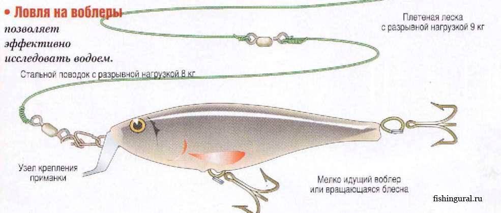 Как правильно ловить на блесну? виды и правила при выборе - читайте на сatcher.fish