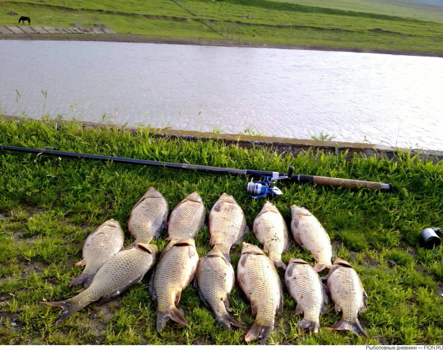 Рыбалка в рязанской области: обзор платных и бесплатных мест, отзывы