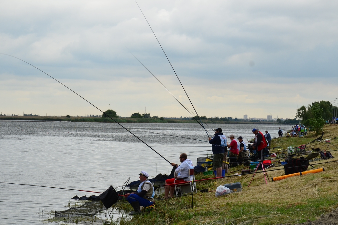 Рыбалка в ростове и ростовской области, куда поехать на ловлю весной и другие сезоны года