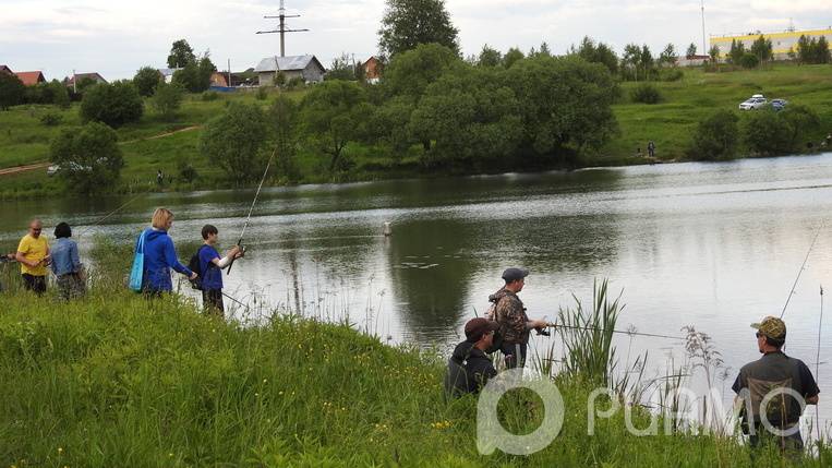 ᐉ пруд на реке сосновка - место для рыбалки - ✅ ribalka-snasti.ru