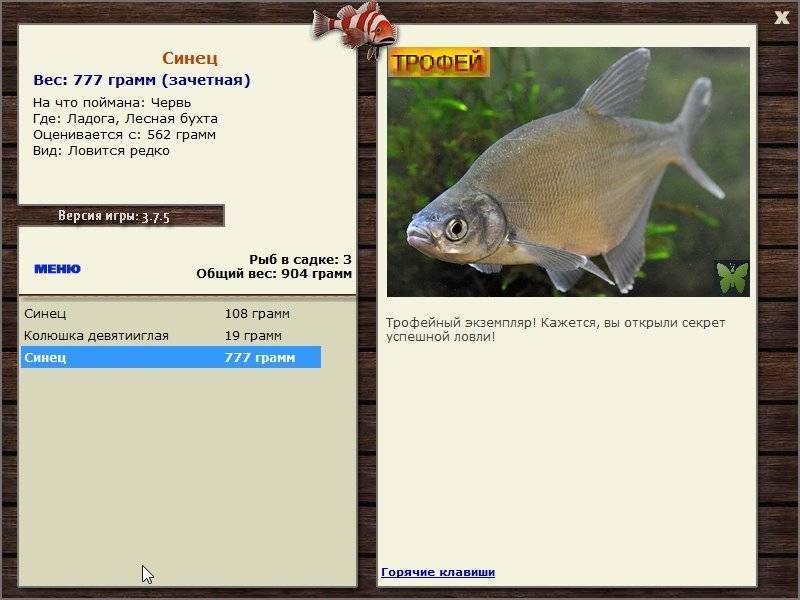 Белоглазка - описание рыбы, фото, способы лова