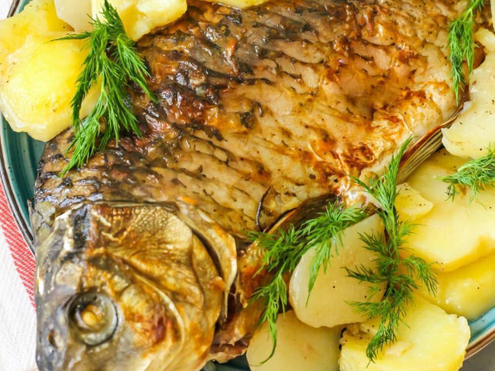 Как приготовить карася: вкусные рецепты приготовления запеченной рыбы, необходимые ингредиенты