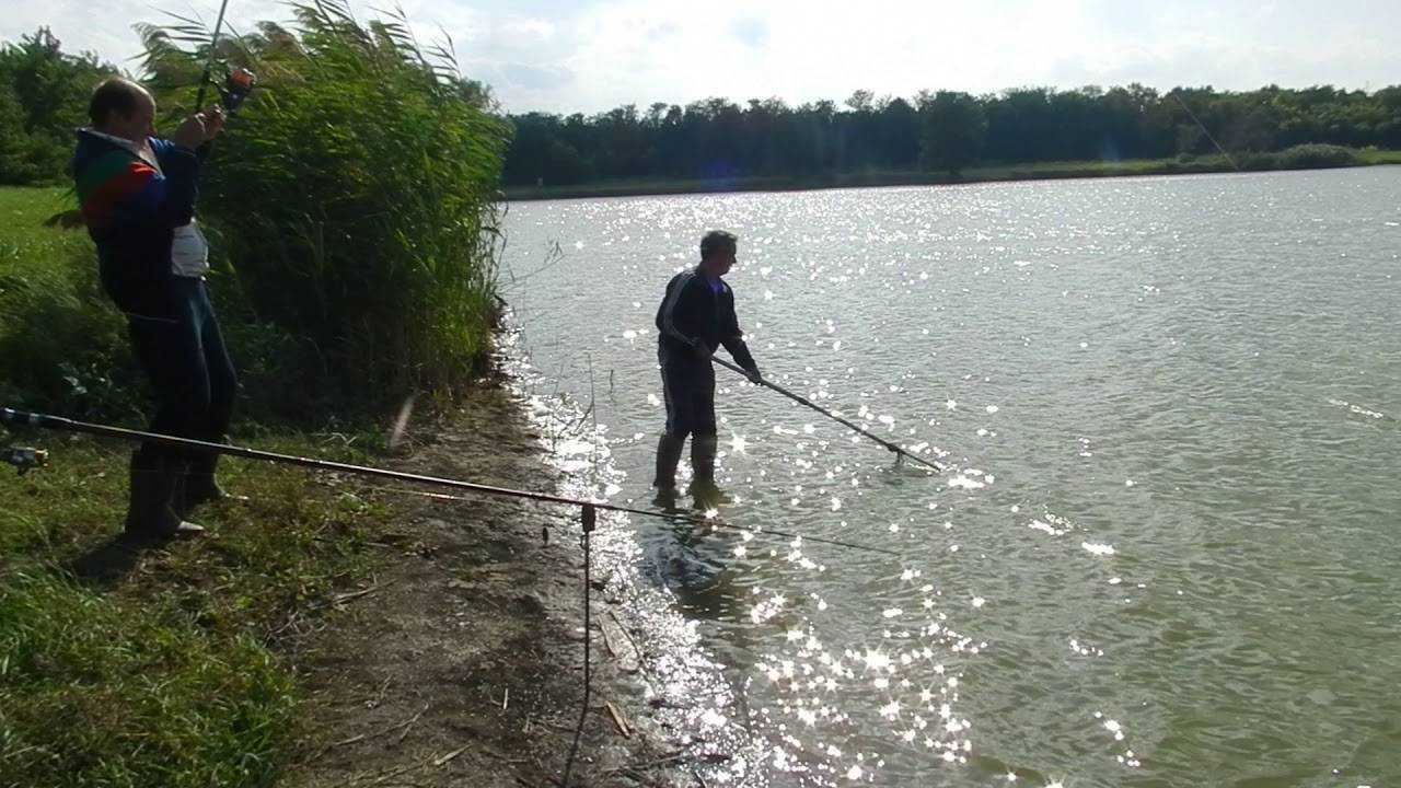 Рыбалка в ставропольском крае - где ловить, новости 2021, форумы