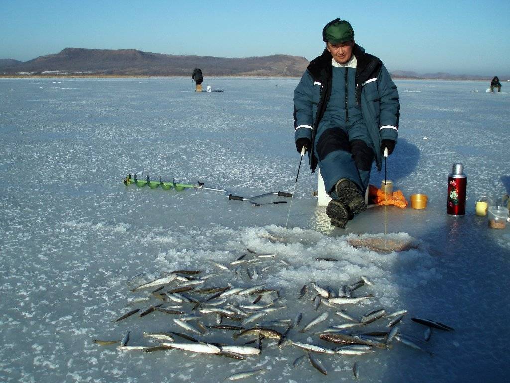 Рыбалка в ямало-ненецком автономном округе и в салехарде