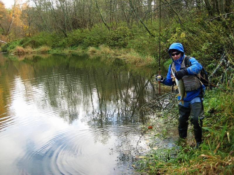 Рыбалка в подольске и подольском районе, как ловить на местных озерах и реках: разбираем по пунктам