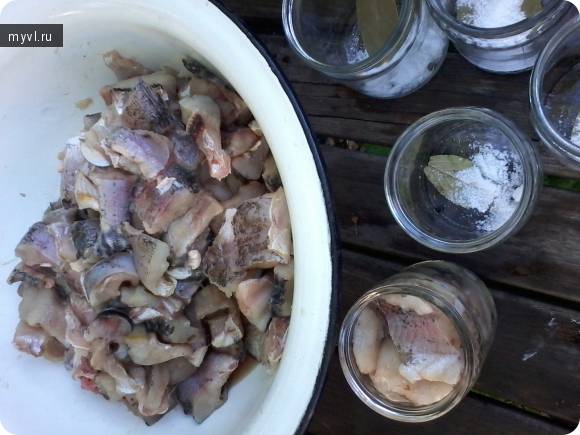 Консервы из рыбы в мультиварке и скороварке: рецепты приготовления в масле и в томате, из речного леща в домашних условиях