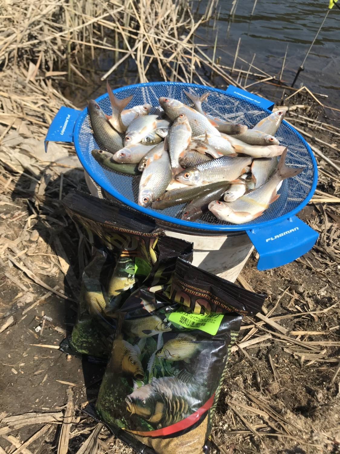 Рыбалка на базе отдыха битюг в аннинском районе - суперулов - интернет-портал о рыбалке