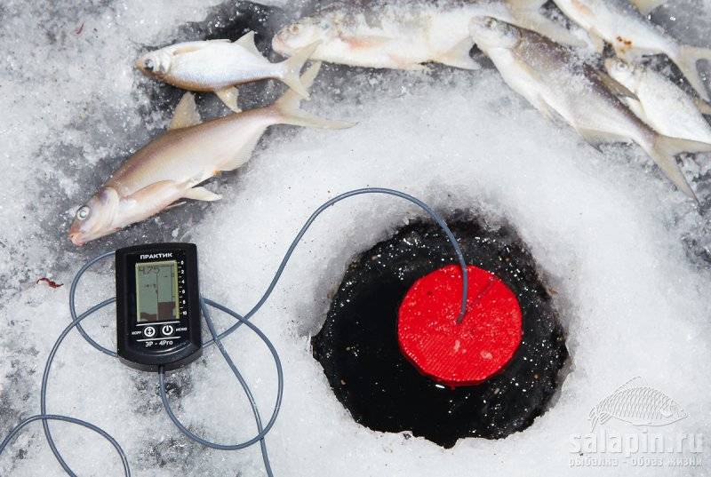 Как пользоваться эхолотом для рыбалки зимой - разбираем по шагам_ | kupilovi.ru
