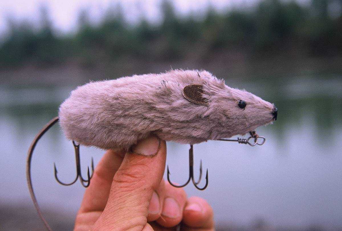 Нестандартные мыши для рыбалки. приманки. - рыбалка в украине