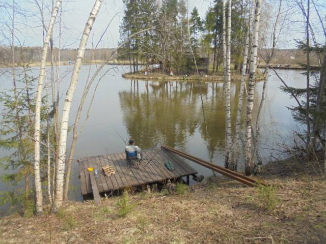 Рыбалка в дмитровском районе московской области, особенности ловли на реке сестра, в поселке «рыбное»