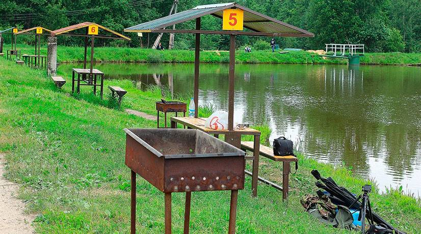 Рыбалка в брянской области — рыбные места знать полезно!