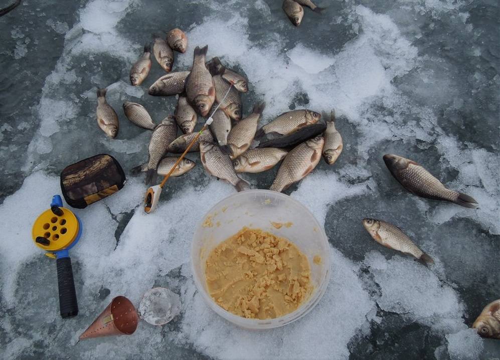 Зимняя ловля на мормышку: виды самых уловистых мормышек, оснастка + советы опытных рыбаков, как сделать своими руками