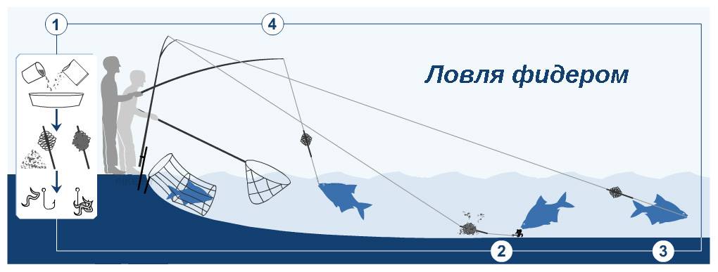Ловля на фидер: как ловить, видео для начинающих, устройство снасти для рыбалки