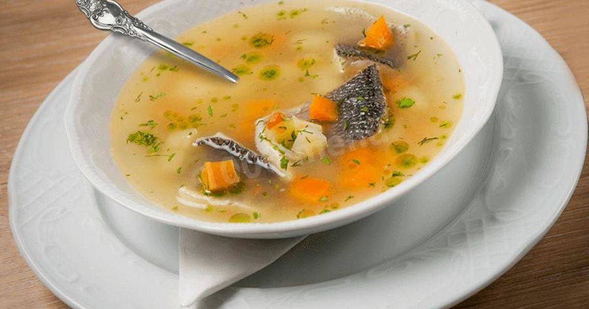 Уха из осетра: рецепты в домашних условиях, способы приготовления супа пошагово