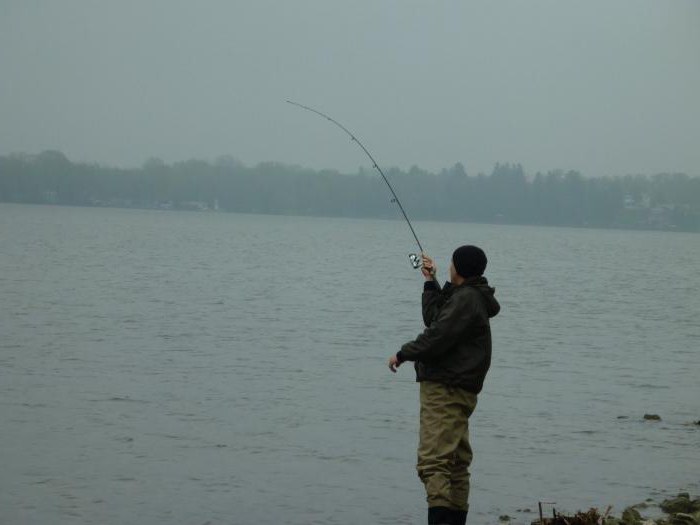 Клюет ли рыба в дождь: особенности рыбалки, советы
