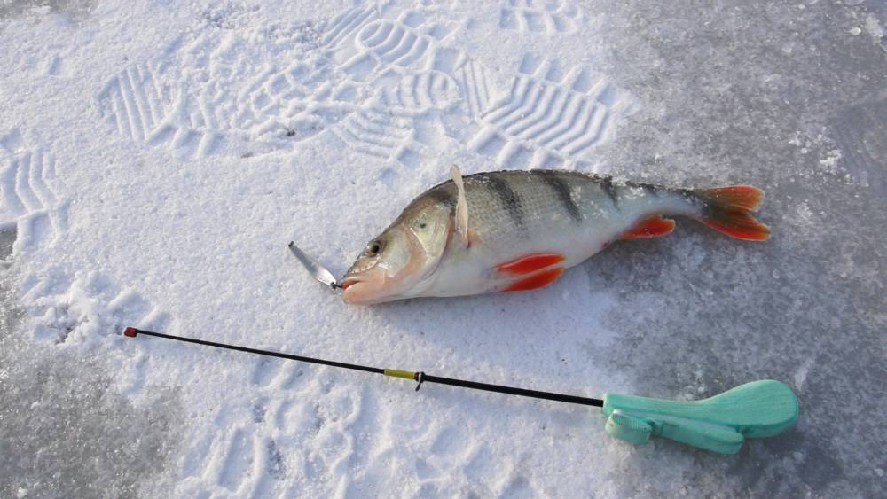 Зимняя окуневая блесна - 10 лет экспериментов - статьи о рыбалке