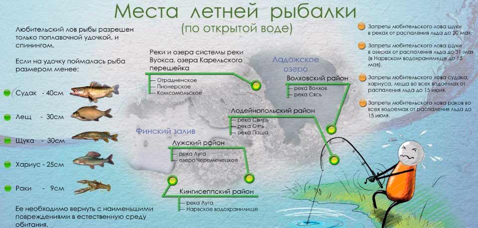 Рыбалка в таганроге: описание местных водоемов, где лучше ловить