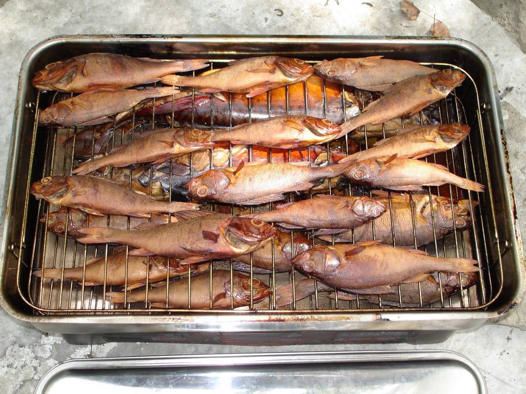 Коптим рыбу в домашних условиях горячего. Коптильня для рыбы горячего копчения. Копчёная рыба в коптильне горячего копчения. Копчение рыбы в коптильне. Коптильня для рыбы холодного копчения.