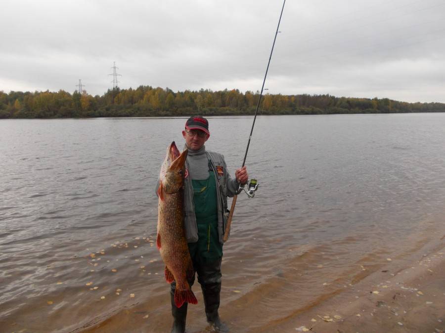 15 лучших рыболовных мест ленинградской области
