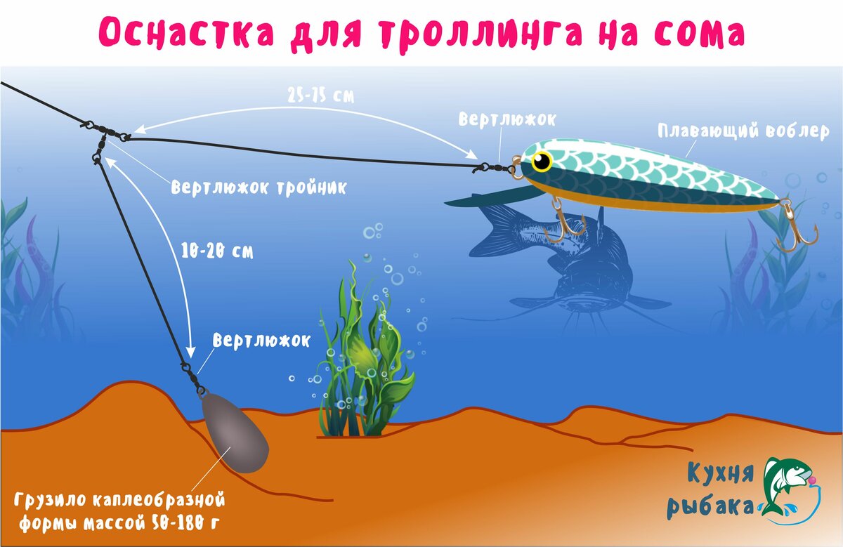 Ловля сома: особенности рыбалки на реке (на живца или «лягушку»), когда лучше клюет
