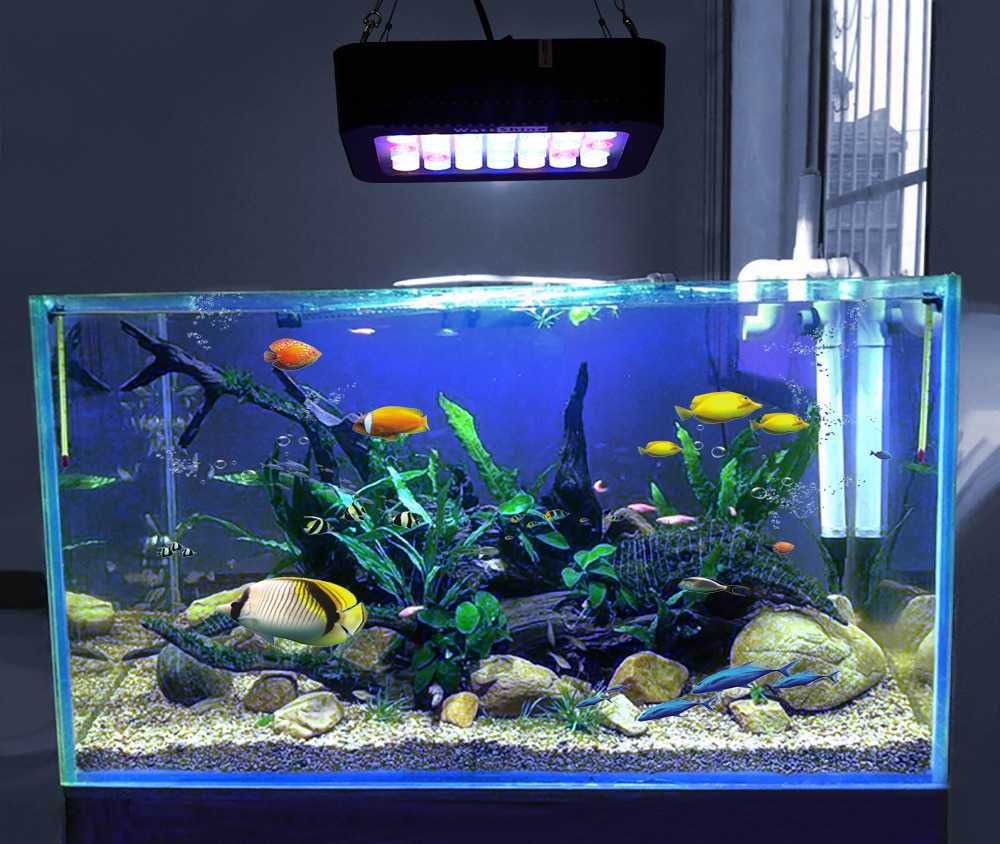 ???? популярные лампы для аквариума на 2023 год