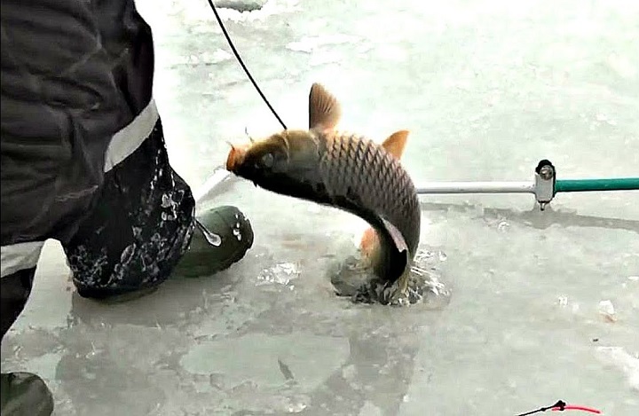 Зимняя ловля рыбы поплавочными удочками