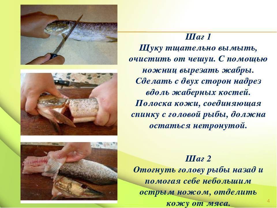 ✅ как удалить кости из щуки легко. как чистить щуку: пошаговая инструкция. разделка рыбы на филе - zevs-studio.ru