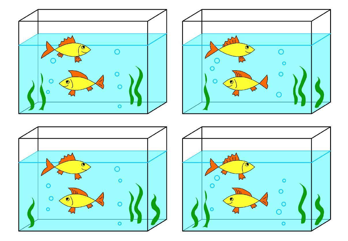 Аквариум для детей. как выбрать аквариум и как его правильно запустить | блог галины скибиной