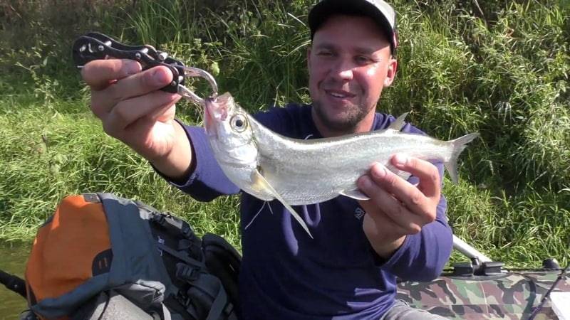Рыбалка на десне — особенности, различные факты и отзывы