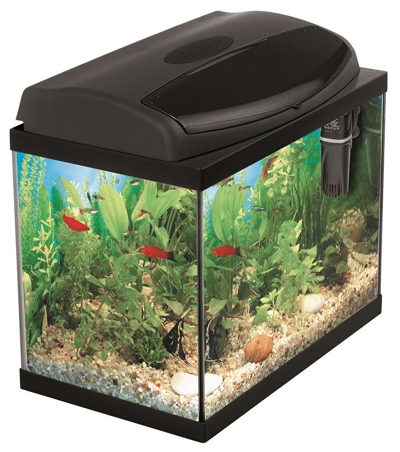 Сколько рыбок можно держать в аквариуме