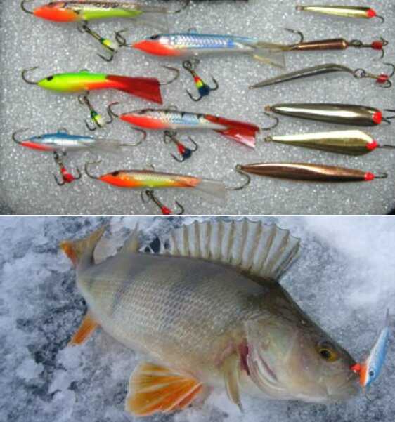 Рыбалка по первому льду: ловля плотвы, щуки, окуня по перволедью - читайте на сatcher.fish