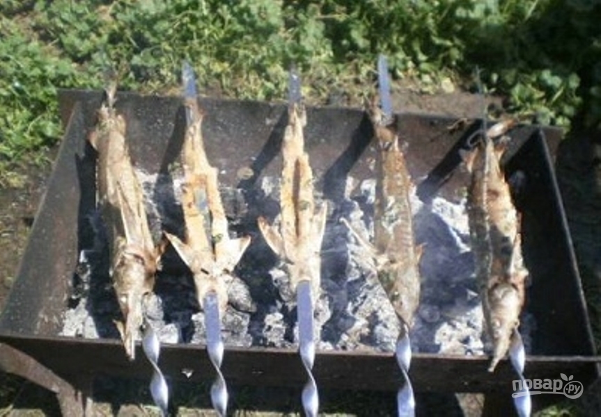 Готовим шашлык из рыбы на мангале на шампурах или решетке