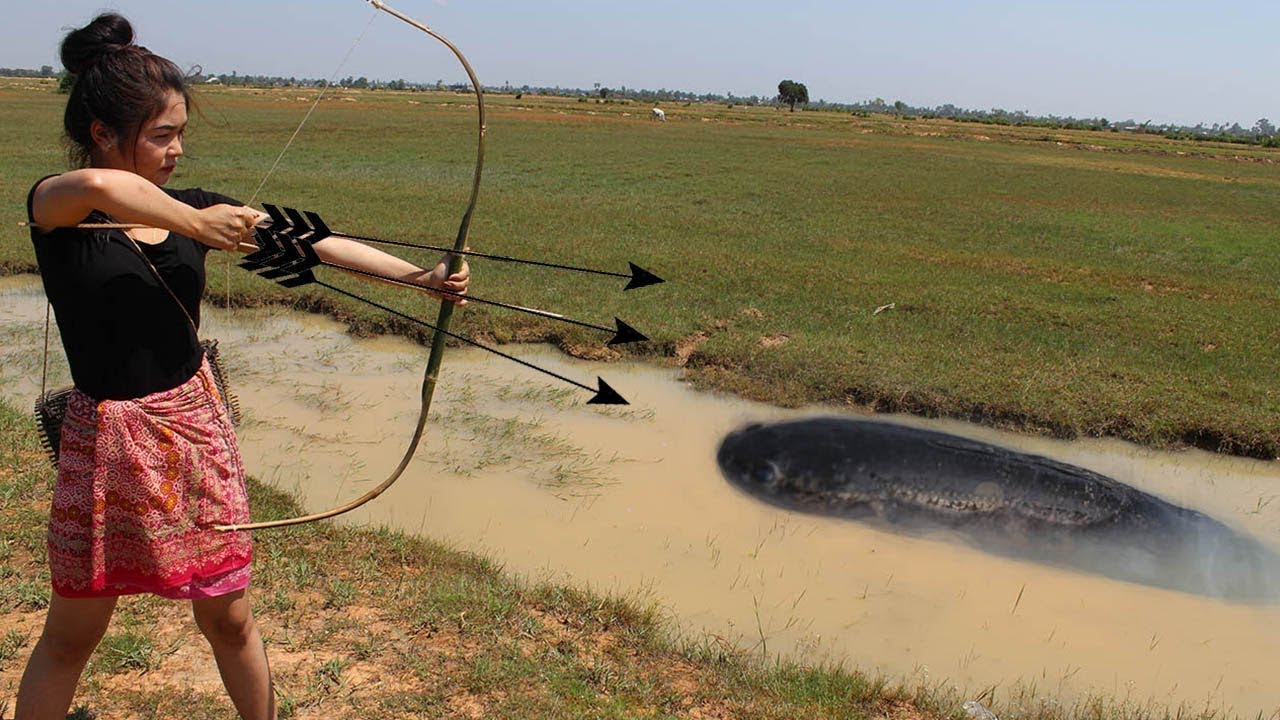 Bowfishing guide: how to bowfish in tennessee | fun bowfishing