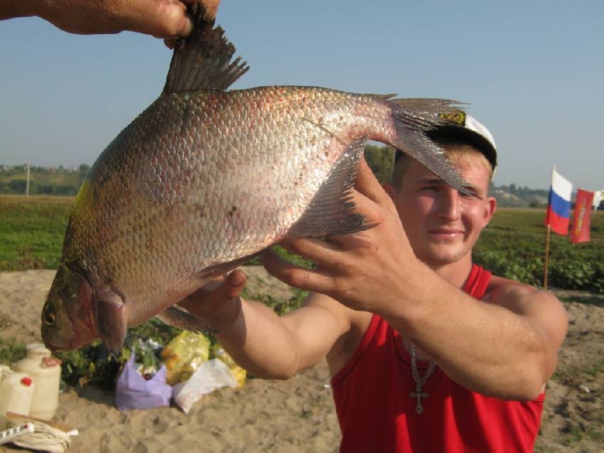 Рыбалка в брянской области - отчеты 2021, группы в контакте