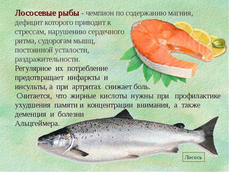 Рыба сазан