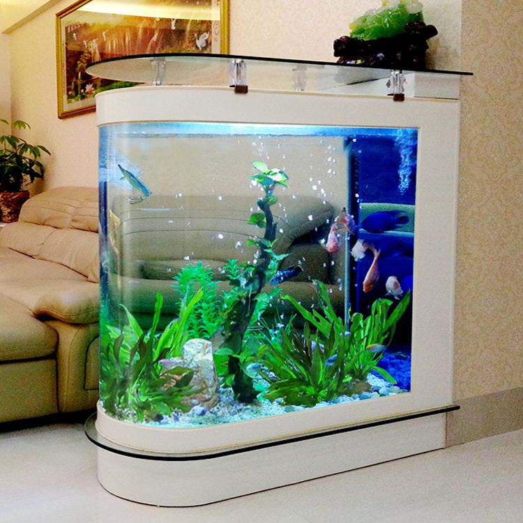 Как выбрать аквариум - основные моменты ⋆ аквариум дома