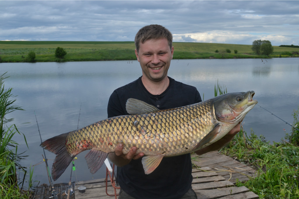Самые рыбные места в белгородской области и белгороде, где стоит ловить рыбу