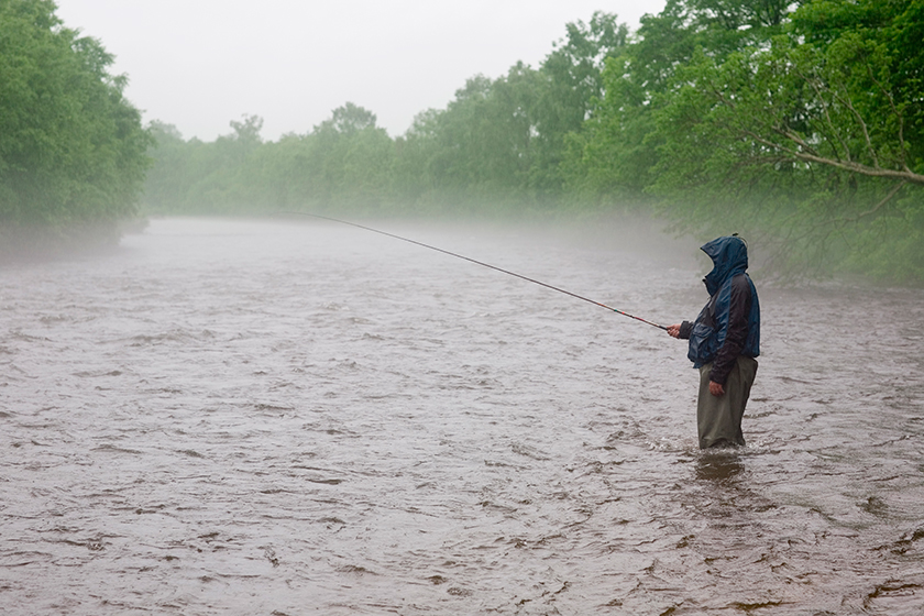 При какой погоде клюёт карась: самые идеальные условия при которых лучше всего ловится рыба
