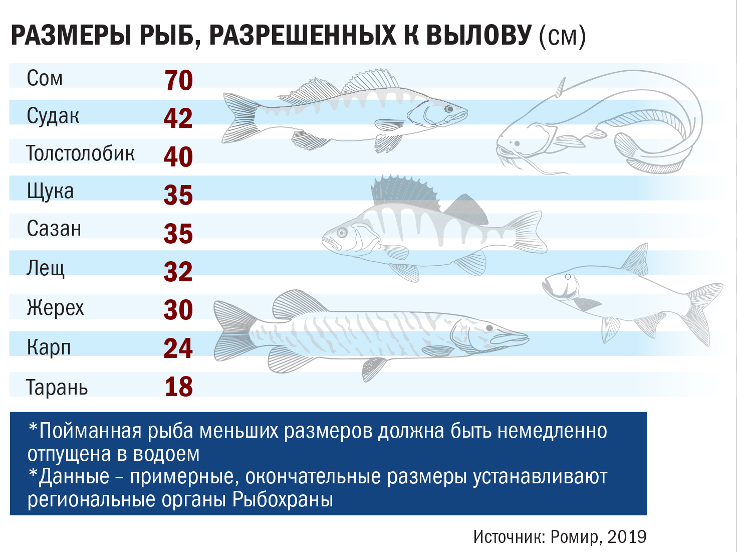 Особенности зимней и осенней рыбалки в башкирии