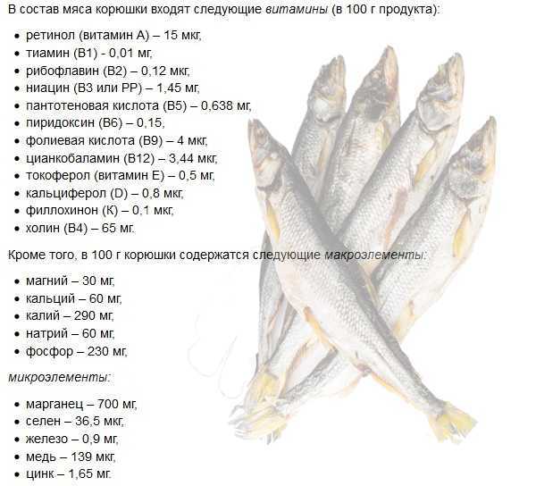 Рыба нерка: рецепты приготовления, полезные свойства, калорийность