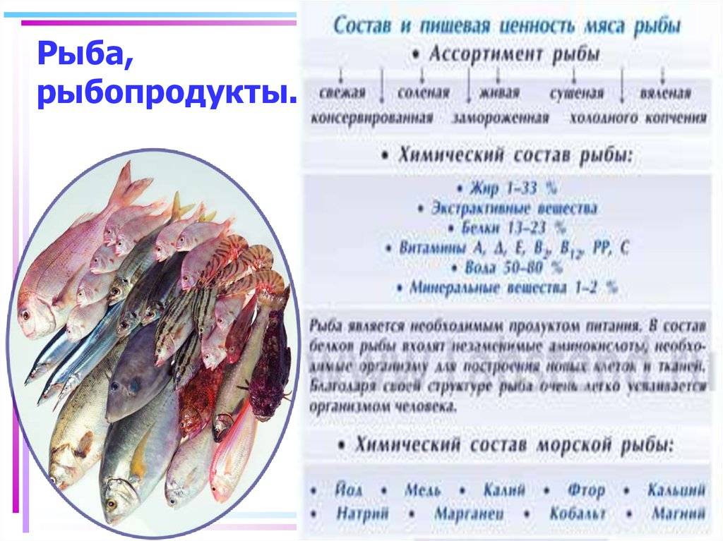 Анисимова и.м., лавровский в.в. ихтиология. основные звенья жизненного цикла рыб. питание и упитанность рыб - электронная биологическая библиотека