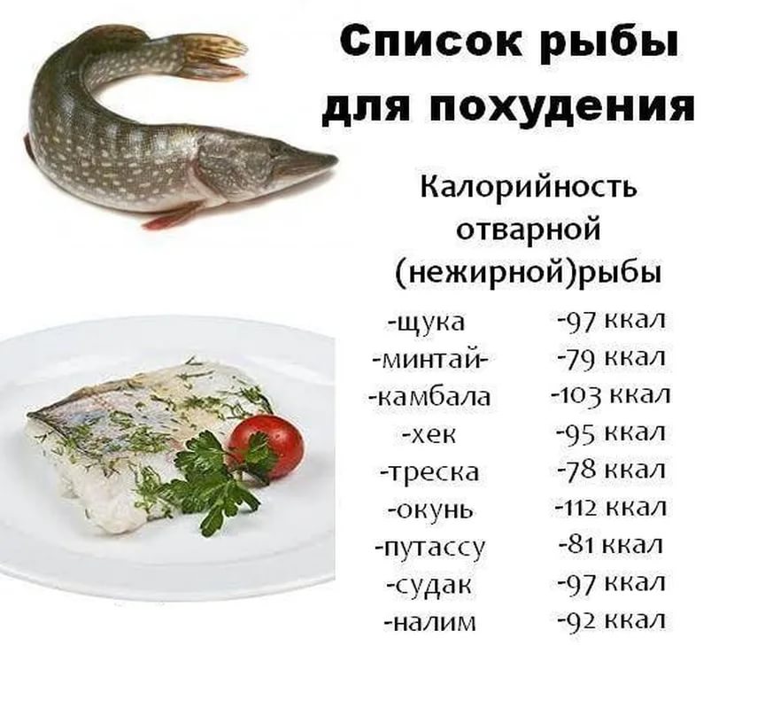 Интересные факты про рыбу нерка