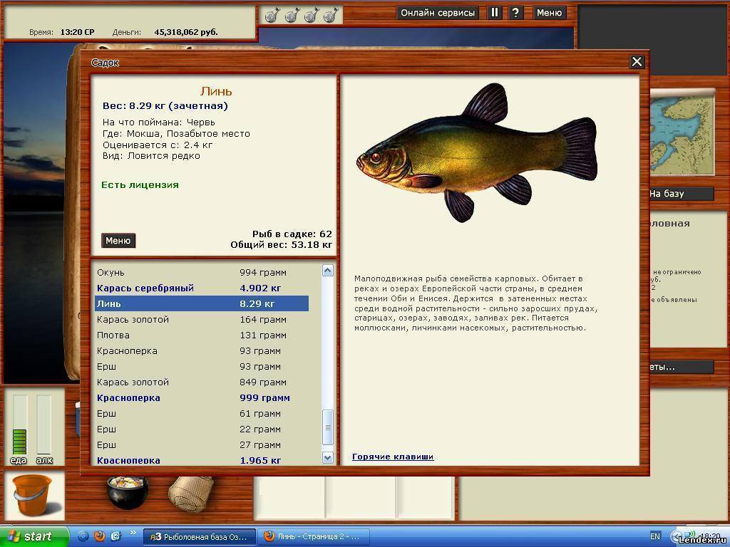 Линь рыба. описание, особенности, виды, образ жизни и среда обитания линя | живность.ру