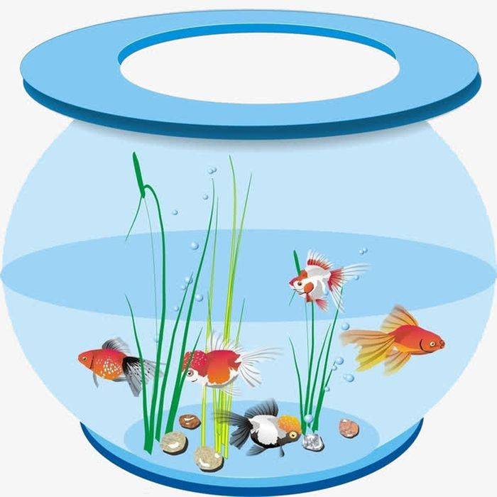«аквариумные рыбки» - мой детский сад