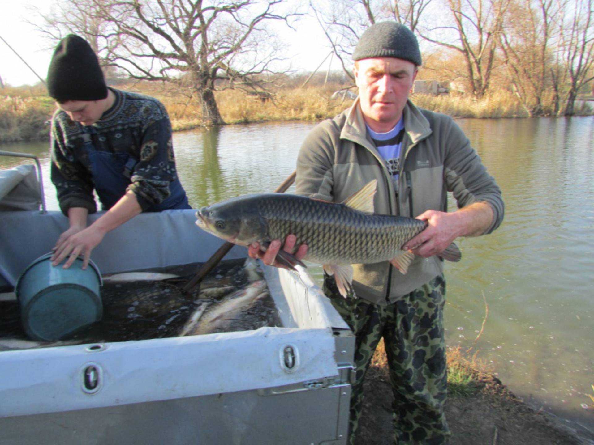 Рыбалка в ставропольском крае » все о рыбе и рыбалке