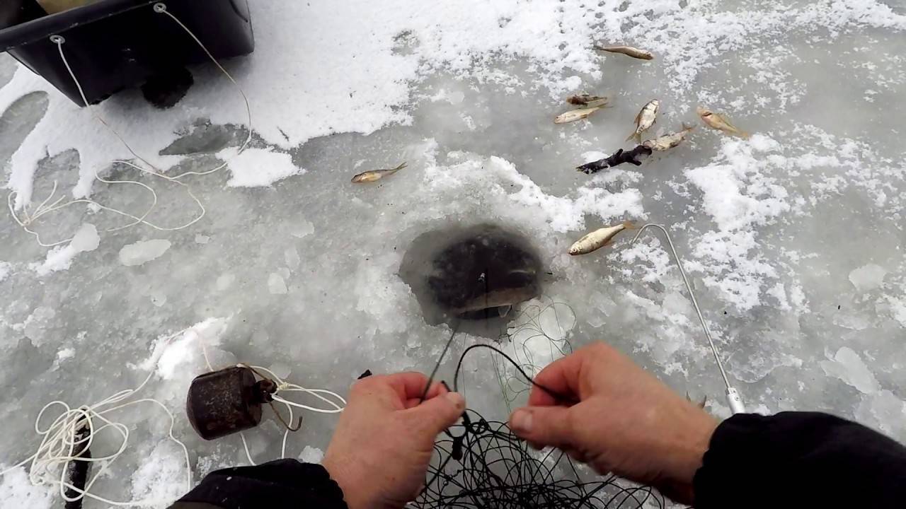 Промысел рыбы сетями зимой видео - рыбалка