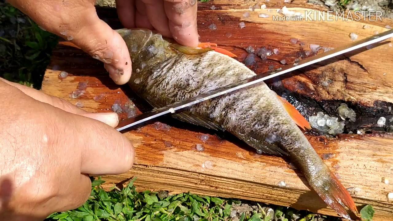 Как почистить окуня: способы лёгкой и быстрой очистки рыбы, что для этого нужно
