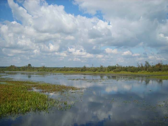 Озеро псковское: фото, отдых и рыбалка. отзывы об отдыхе на псковском озере